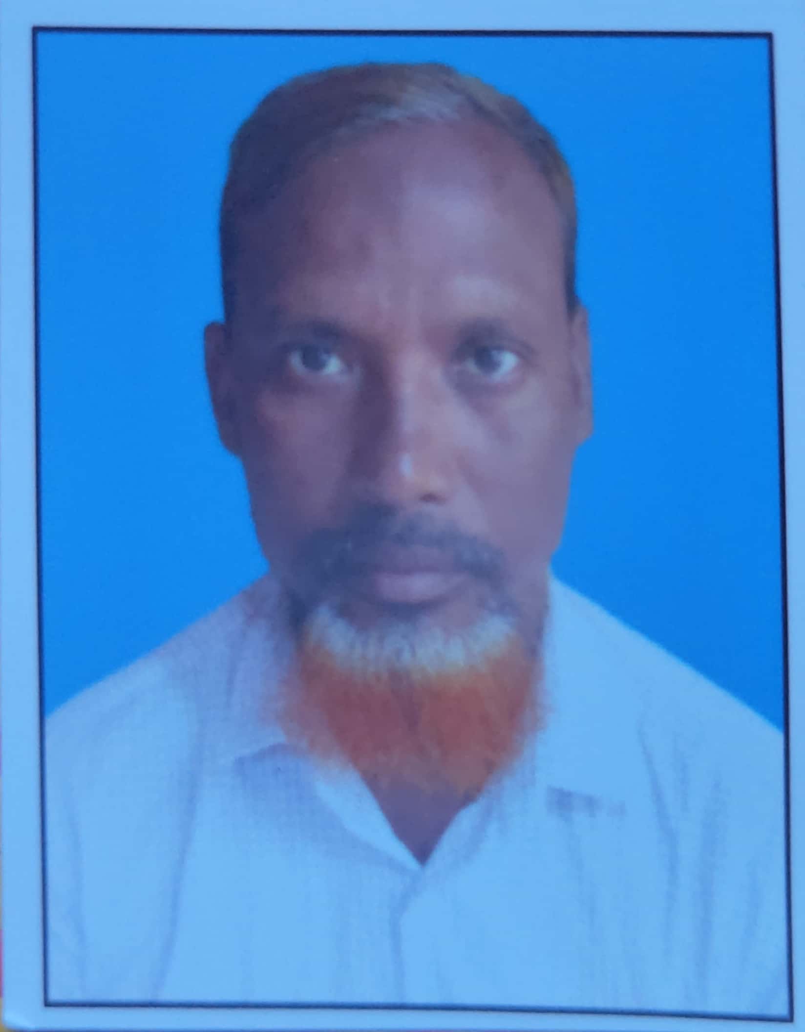 মুঠোফোনে দেখা যাবে মদিনার মসজিদে নববির ভেতরে-বাইরে